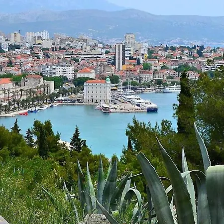 Summer Vibes * Split