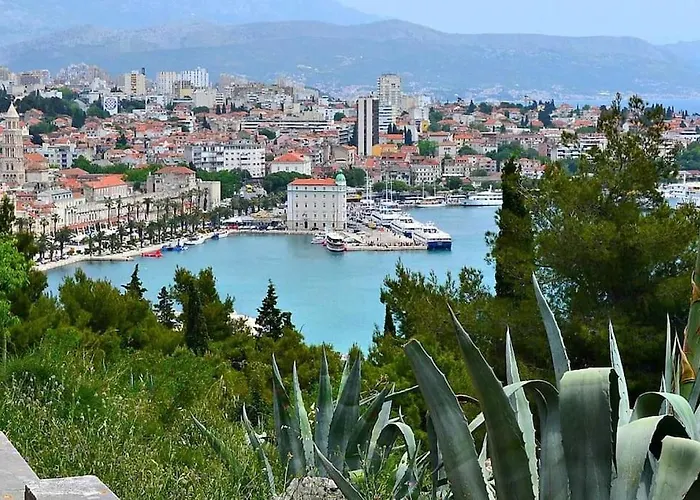 Summer Vibes * Split